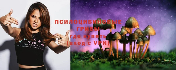 крисы Гусев