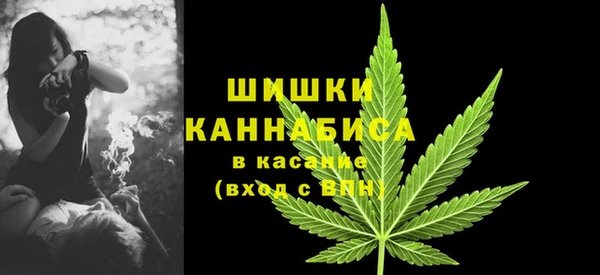 крисы Гусев