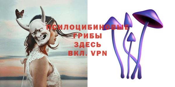 mix Гусиноозёрск